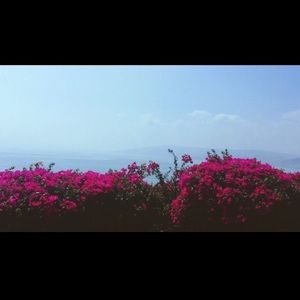 Meet your Posher, Maia